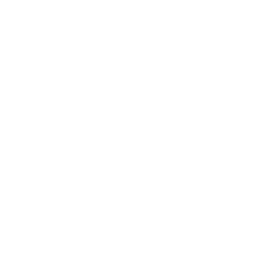 Lancashire Archery Association logo white
